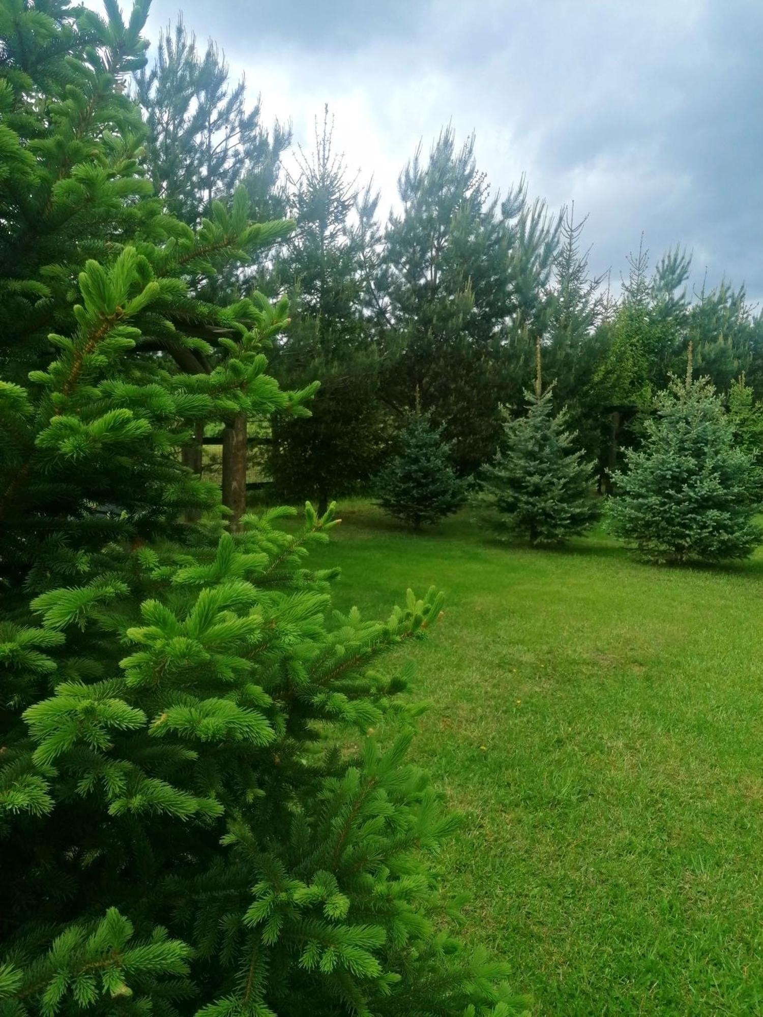 Hotel Camp Pacho Prievidza Exterior foto