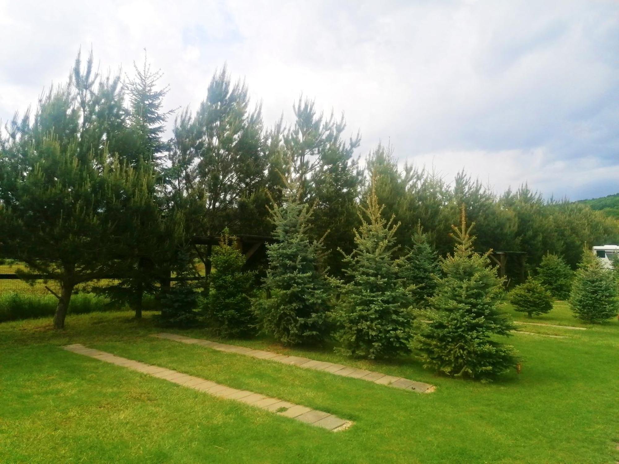 Hotel Camp Pacho Prievidza Exterior foto
